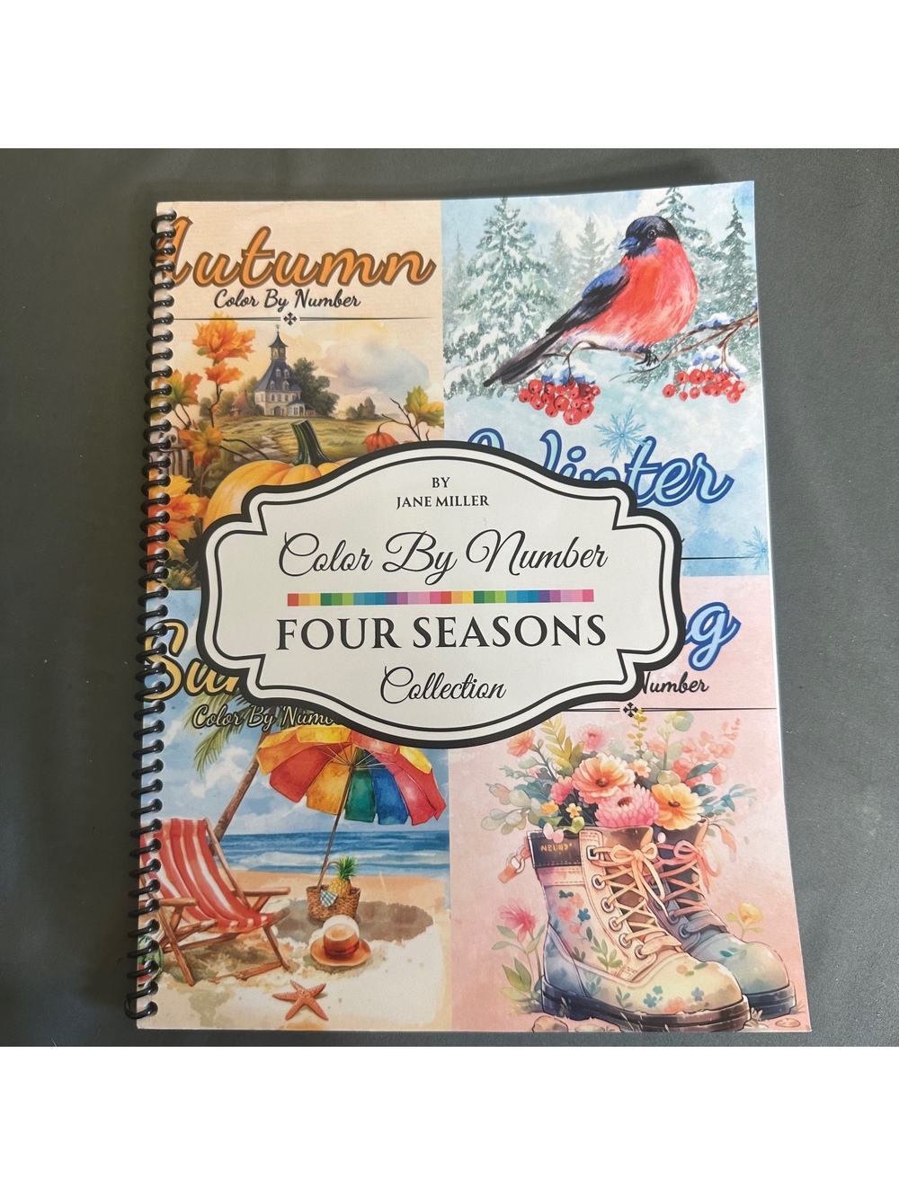Color By Number 4 Seasons Coloring Book